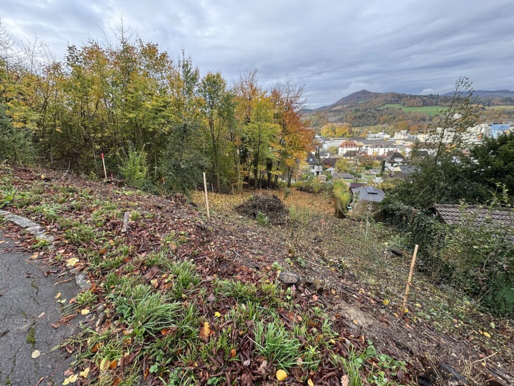 Ökologische Aufwertung